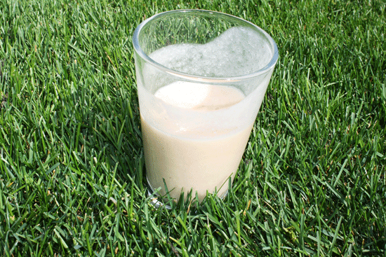 Post image for Coconut Milk Kefir Smoothie