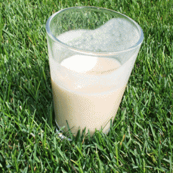 Thumbnail image for Coconut Milk Kefir Smoothie